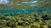California's Yurok Tribe gets back ancestral lands that were taken over 120 years ago