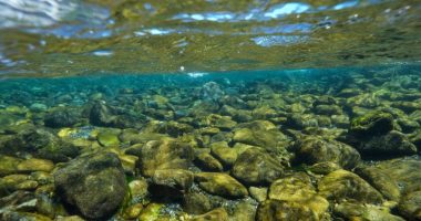 California's Yurok Tribe gets back ancestral lands that were taken over 120 years ago