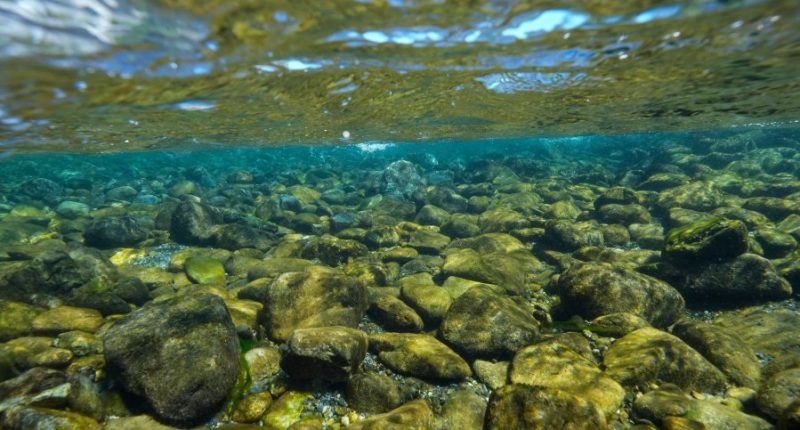 California's Yurok Tribe gets back ancestral lands that were taken over 120 years ago