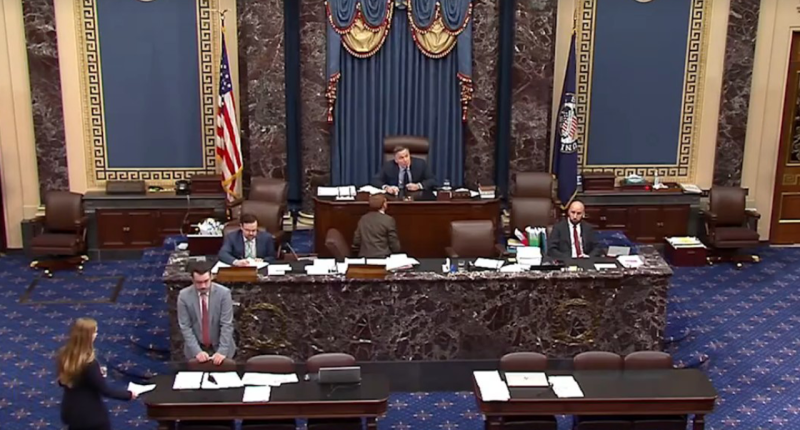 Capitol Police arrest man who disrupted Senate debate on Trump's 'big, beautiful bill': 'You people are awful'