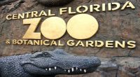 Central Florida Zoo & Botanical Gardens announces 50th anniversary celebration with ticket discounts