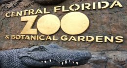 Central Florida Zoo & Botanical Gardens announces 50th anniversary celebration with ticket discounts