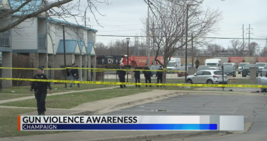 Champaign woman to host event for gun violence, drug abuse awareness