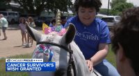 Chicago Proud: 12-year-old cancer survivor Valentina Robles granted wish to meet unicorn by Make-A-Wish Illinois in Elgin