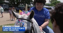 Chicago Proud: 12-year-old cancer survivor Valentina Robles granted wish to meet unicorn by Make-A-Wish Illinois in Elgin