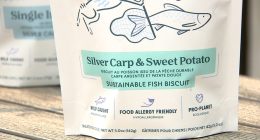 Chicago-based Asian carp dog treat helping save Great Lakes from invasive fish