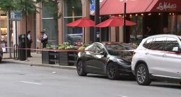 Chicago shooting injures man during fight on Wells Street in River North: CPD