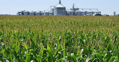 Chinese 'agroterrorism' could threaten US 'survival as a nation,' expert warns