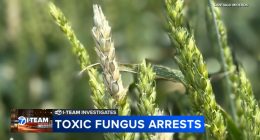 Chinese biological researchers charged with smuggling potential agroterrorism weapon to U.S., Illinois researcher weighs in