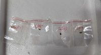 Chinese pair accused of smuggling 'dangerous biological pathogen' into US