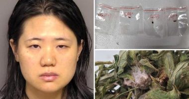 Chinese researchers' alleged plot to smuggle crop-killing fungus into US is an 'attack on US food supply': feds