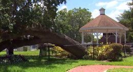 College Park neighborhood to say goodbye to some staples amid park renovations