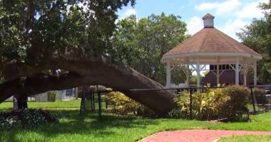 College Park neighborhood to say goodbye to some staples amid park renovations