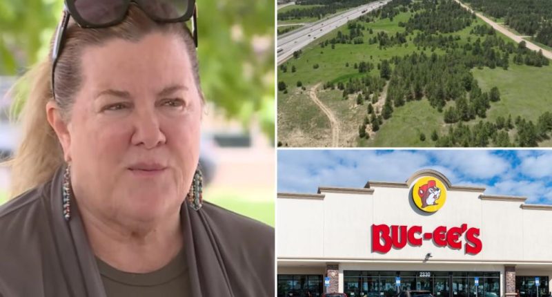 Colorado Palmer Lake Mayor Glant Havenar resigns after calling Buc-ee's project opponents 'terrorists'