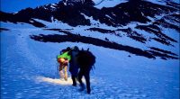 Colorado's highest helicopter rescue saves two on Torreys Peak