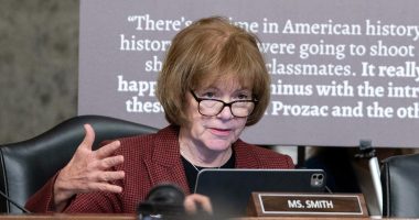 Congress to address security after Minnesota lawmaker's killing