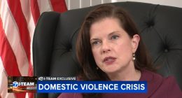 Cook County State's Attorney Eileen O'Neill Burke, Chicago's top prosecutor, lays out plan to address domestic violence crisis