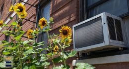 Cooling assistance accepting appointments starting Sunday