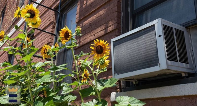 Cooling assistance accepting appointments starting Sunday