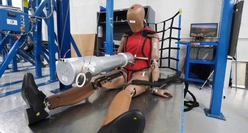 Crash dummies used in car safety tests are still modeled after men despite higher risks for women
