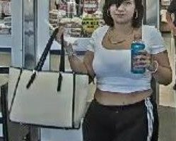 Crime Stoppers reports four more thefts at Champaign Meijer