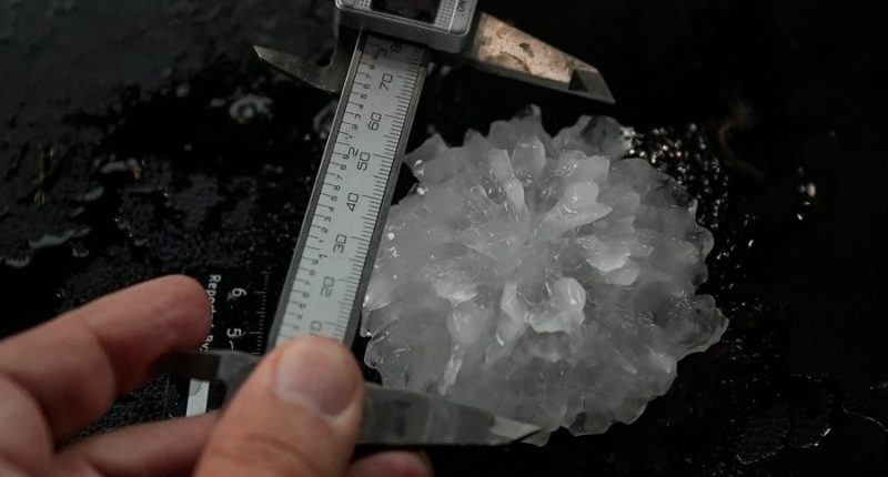 Crushing it. What do you do with 4,000 hailstones that you collect while chasing storms