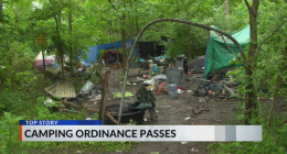Danville City Council passes anti-public camping ordinance