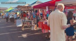 Danville Farmers Market increasing accessibility with personal shopper program