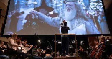 Date night idea? See Harry Potter, Lord of the Rings and Moana brought to life in Orlando concerts