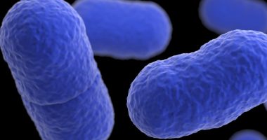 Deadly listeria outbreak linked to chicken alfredo fettucine sold at Kroger and Walmart