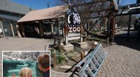 Denver zoo closes early over the weekend to prevent teenagers from pulling off Tiktok-inspired 'takeover'