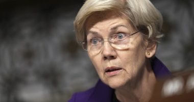 Detransitioner Lands Final Blow to Warren’s Hissy Fit Over SCOTUS Trans Ruling