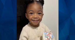 Developing: Police Cancel AMBER ALERT for 3-Year-Old Delaware Tot, Homicide Investigation Underway After Mother Files False Abduction Report