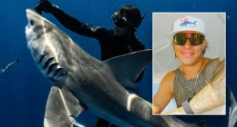 Diver who freed sharks gets Trump pardon after felony conviction stuns him: 'My heart sank'