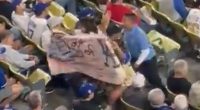 Dodgers fan protesting ICE removed from game by security