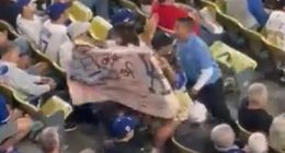 Dodgers fan protesting ICE removed from game by security