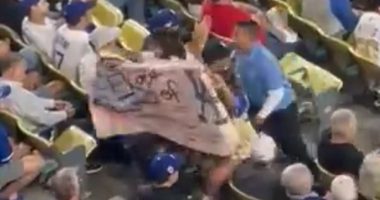 Dodgers fan protesting ICE removed from game by security
