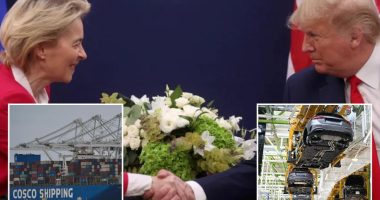 EU to pitch 10% flat tariffs on exports to US to placate Trump