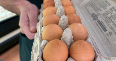 Egg recall over salmonella outbreak linked to several states, including Illinois, California, Arizona, Indiana
