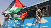 Egypt blocks activists aiming to march to Gaza to draw attention to humanitarian crisis
