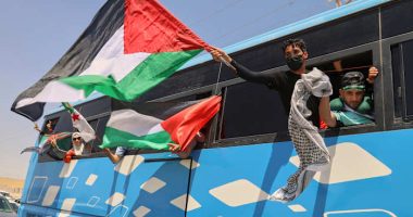 Egypt blocks activists aiming to march to Gaza to draw attention to humanitarian crisis