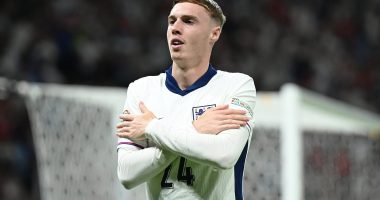 England star COLE PALMER opens up on his laid-back attitude to life and football as he reveals he fell asleep at the Grand Prix... and shares the one piece of advice his mother gave him