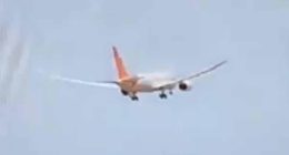 Expert's theory on simple mistake he thinks Air India co-pilot made