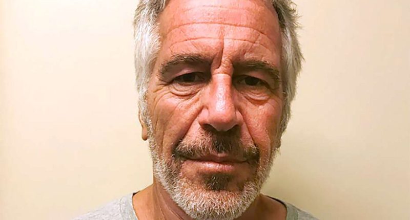 FBI Deputy Director confirms Jeffrey Epstein died by suicide based on agency's files