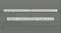 Family flees South Carolina, seeking gender affirming care