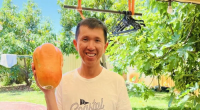 Thahn Phan