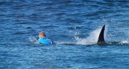 In this screen grab from footage by the World Surf League, Mick Fanning of Australia  is attacked by a Shark at the Jbay Open on July 19, 2015 in Jeffreys Bay, South Africa. (Photo by WSL/World Surf League via Getty Images)