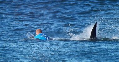 In this screen grab from footage by the World Surf League, Mick Fanning of Australia  is attacked by a Shark at the Jbay Open on July 19, 2015 in Jeffreys Bay, South Africa. (Photo by WSL/World Surf League via Getty Images)