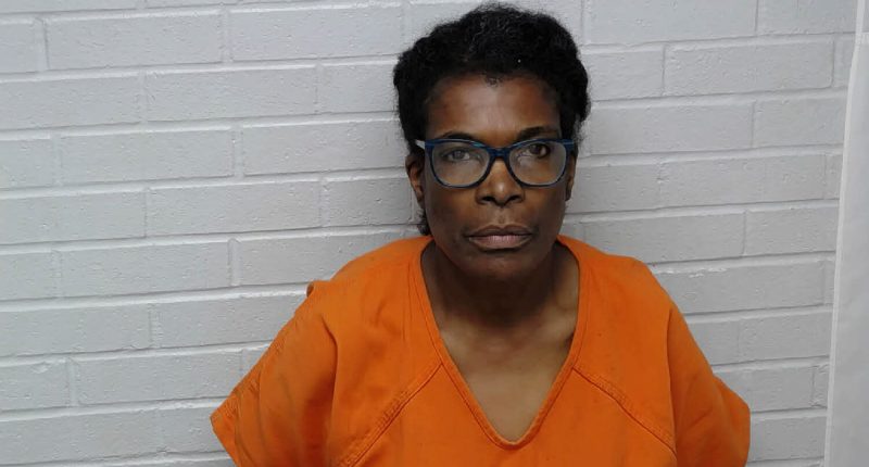 Foster Mother Leaves 7-Month-Old Baby to Die in Hot Minvian, Marking 6th Pediatric Vehicular Heatstroke This Year