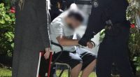 Four teens charged over alleged six-hour sexual assault in Sydney